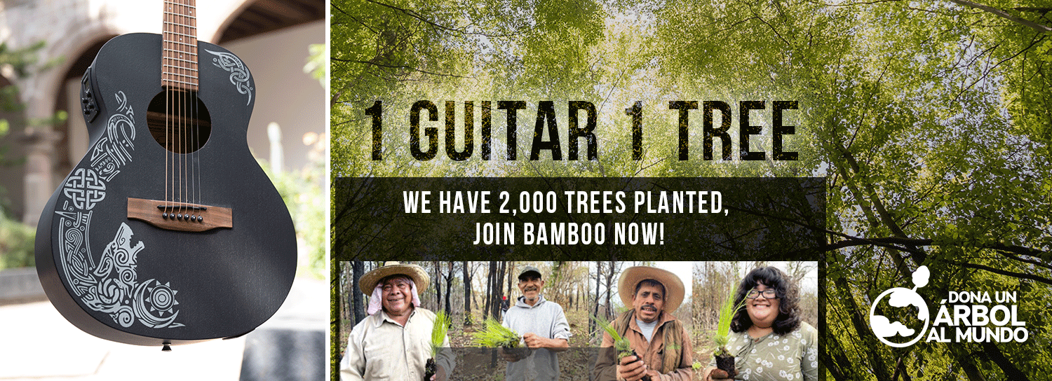 Portada INTERNACIONAL_1 guitarra 1 arbol