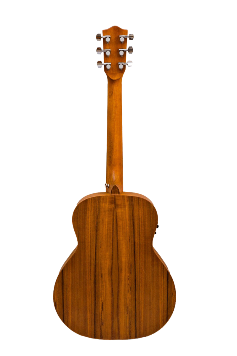 Guitarra Acústica Vision Bambu Bamboo