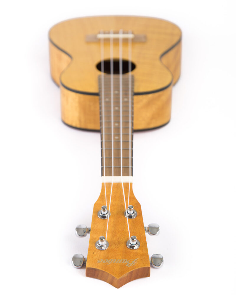 Ukulele Exotic Mahogany Concert