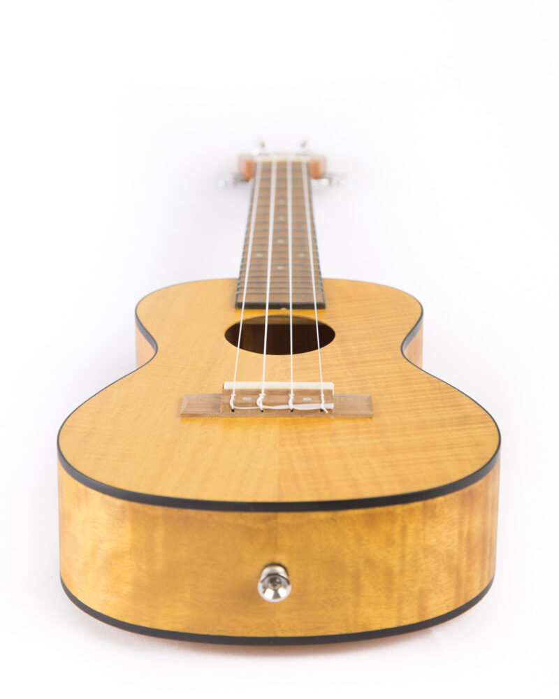 Ukulele Exotic Mahogany Concert