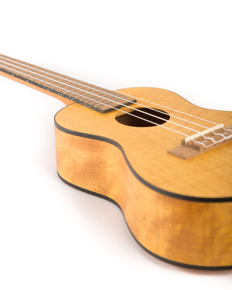 Ukulele Exotic Mahogany Concert