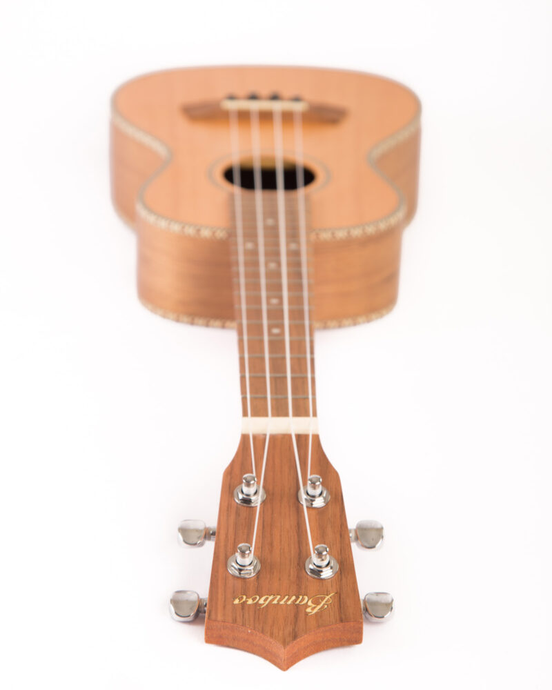 Ukulele Solid Cedar Concert