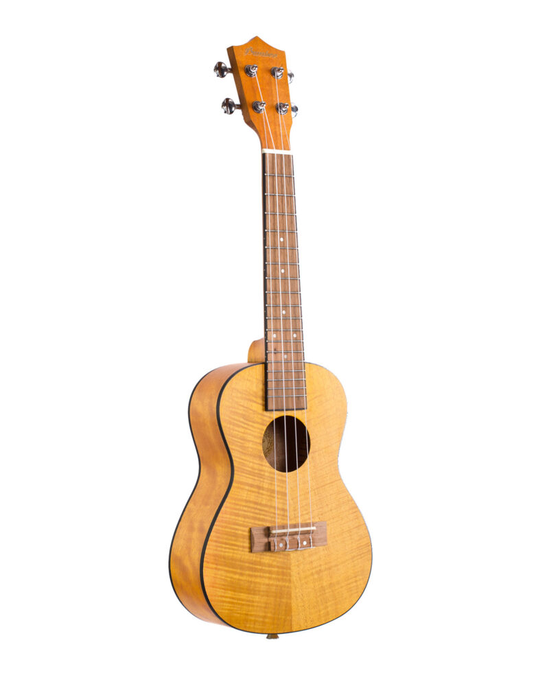 Ukulele Exotic Mahogany Concert