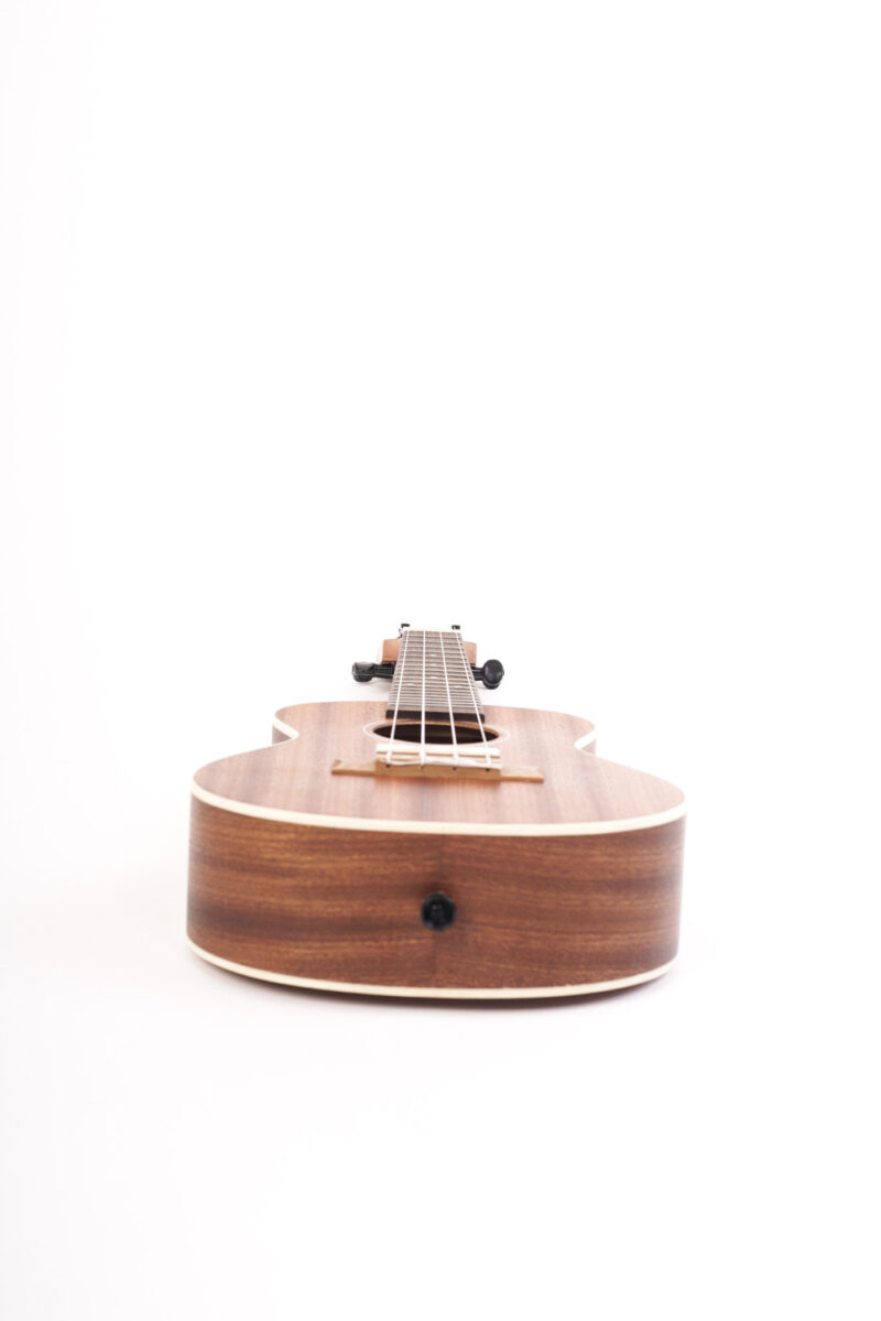 Ukulele Sapele Concert