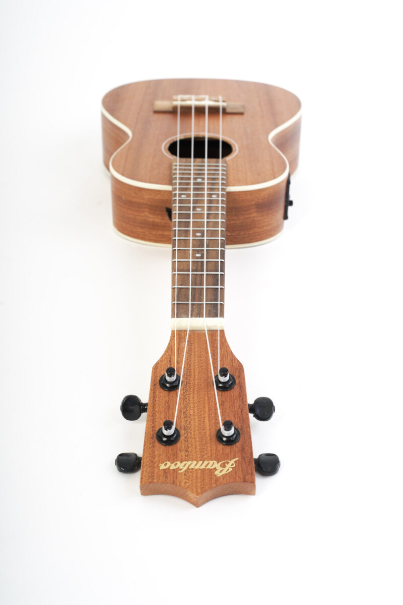 Ukulele Sapele Concert with Eq