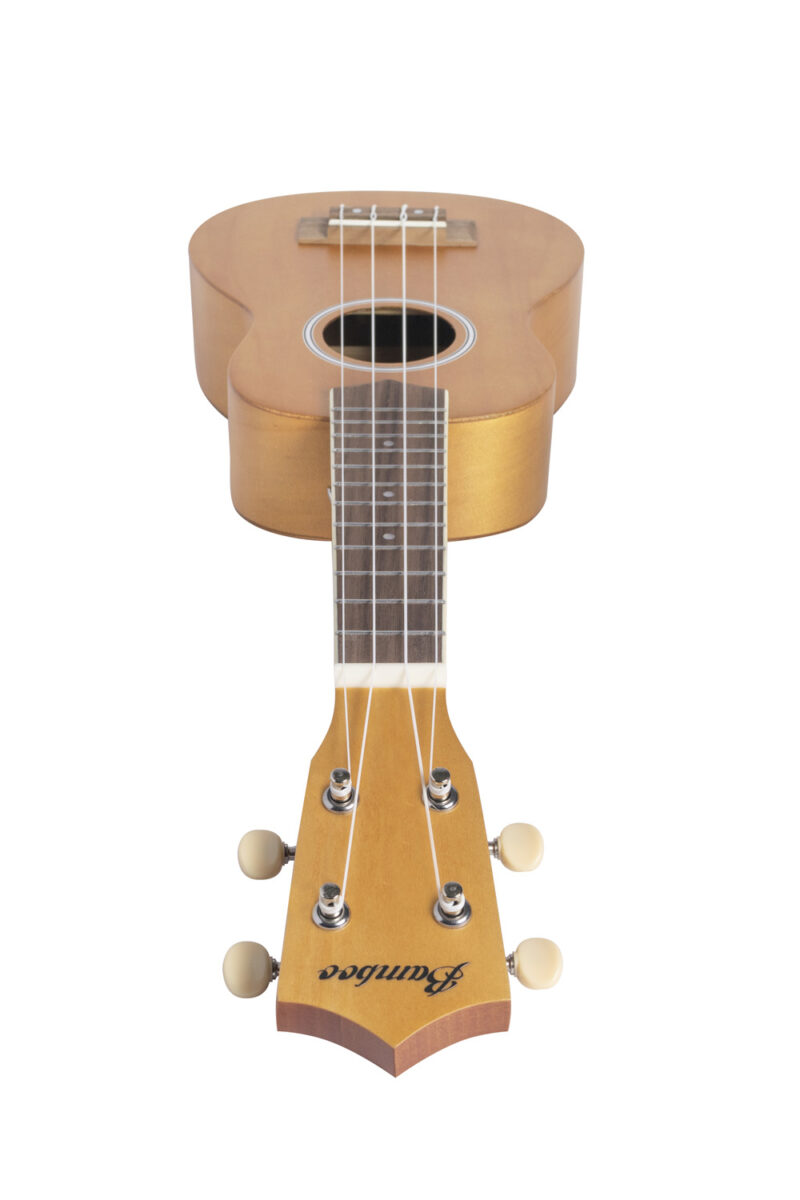 Ukulele Studio Brown Soprano