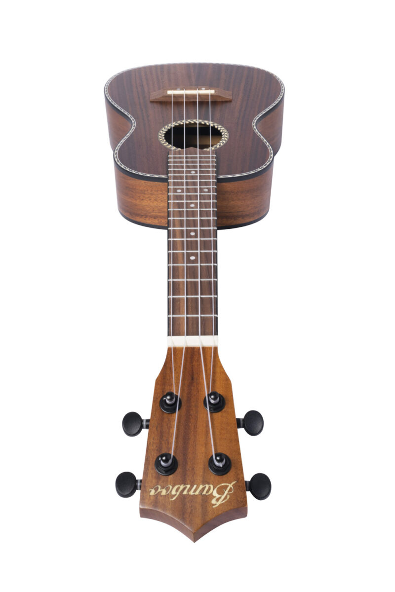 Ukulele Koa Concert