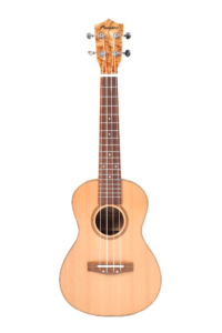 SOLID-SPRUCE-CONCERT_1