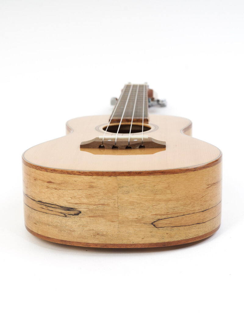 Ukulele Solid Spruce Concert