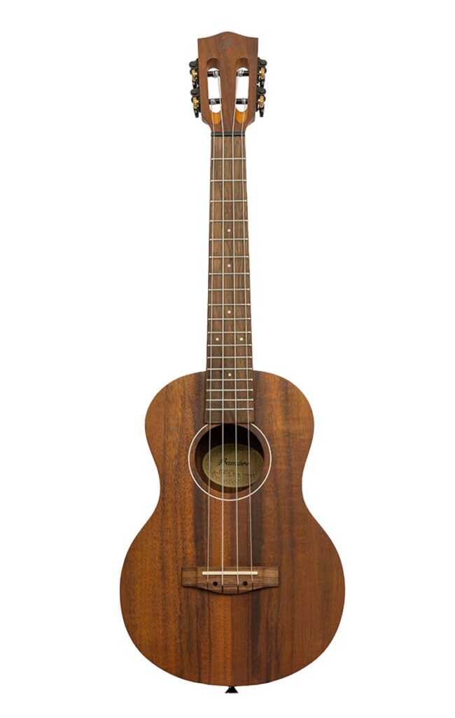 Ukulélé à Corps Plein Kala Solid Body Acacia Tenor – Avec Housse, Modèle KA-SB-ACA-T - 6